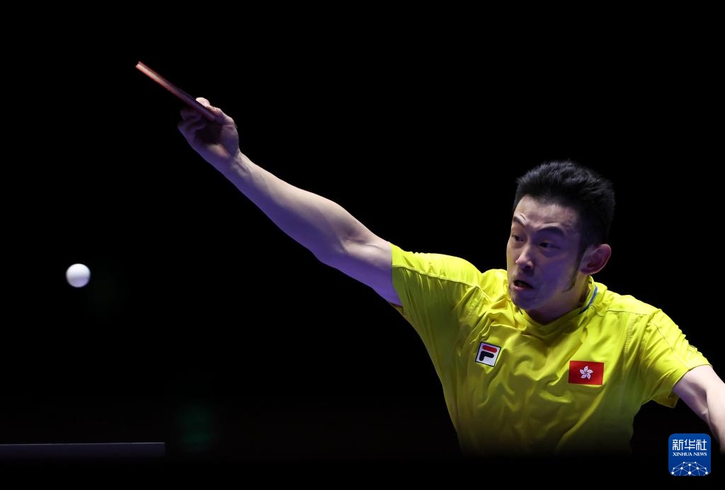 的关键作用 的关键作用