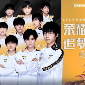 武术散打锦 武术散打锦