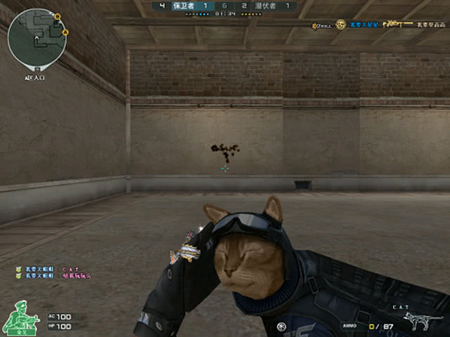 卫深腰屏障 卫深腰屏障