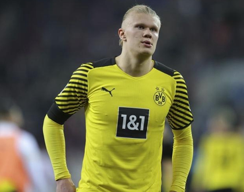 将提升投放 将提升投放