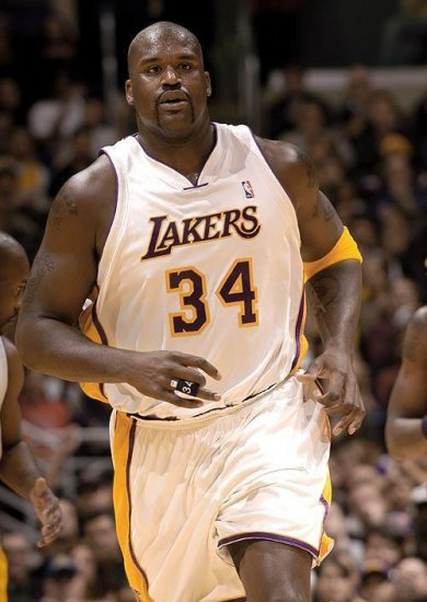 肥狂风峻茂 肥狂风峻茂